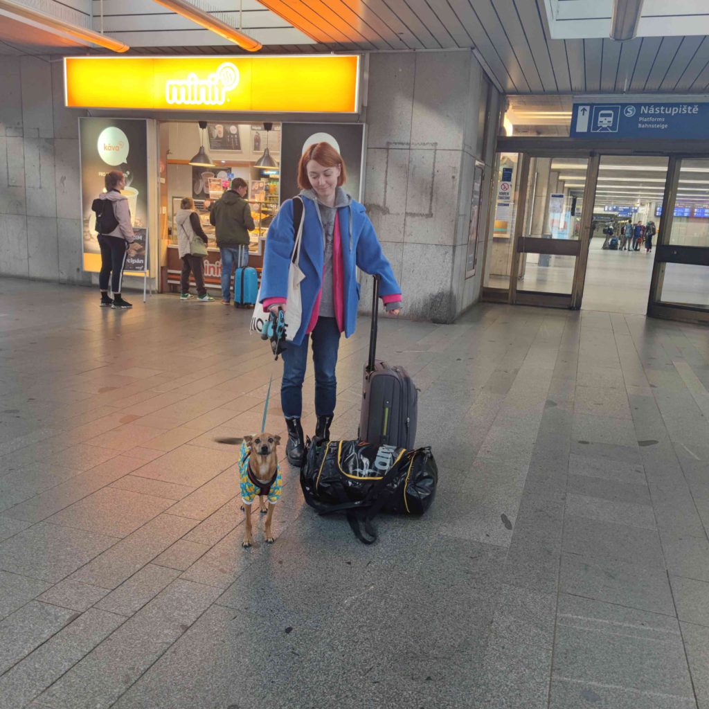 kutyával vonaton